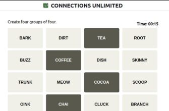 connections unlimited-nyt