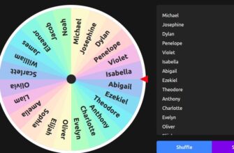 Wheel Spinner